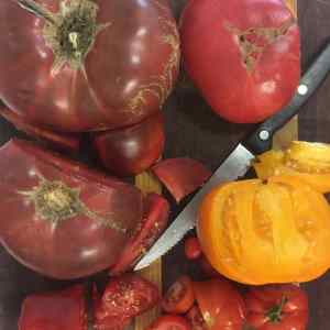 tomato competition
